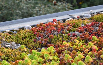 the cost of Shabbington green roof installation